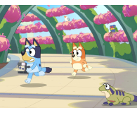 Switch Bluey's Happy Snaps Deluxe Edition - 1526162 - zdjęcie 4